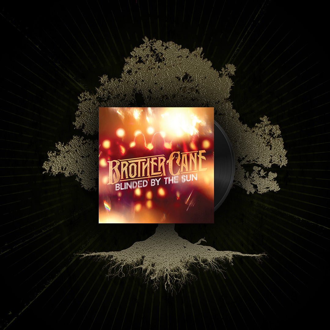 Vinyl - Blinded By The Sun - 7"